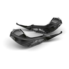 BMW M Series Carbon Fiber Side Tank Fairing S1000RR 2020