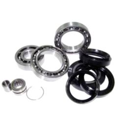 Kimpex HD Differential Bearing Repair Kit - 326254