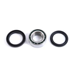 Kimpex HD Wheel Bearing and Seal Kit - 326122