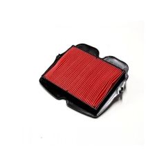 HiFloFiltro Air Filter - HFA1930