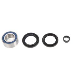 Kimpex Wheel Bearing and Seal Kit - 162121